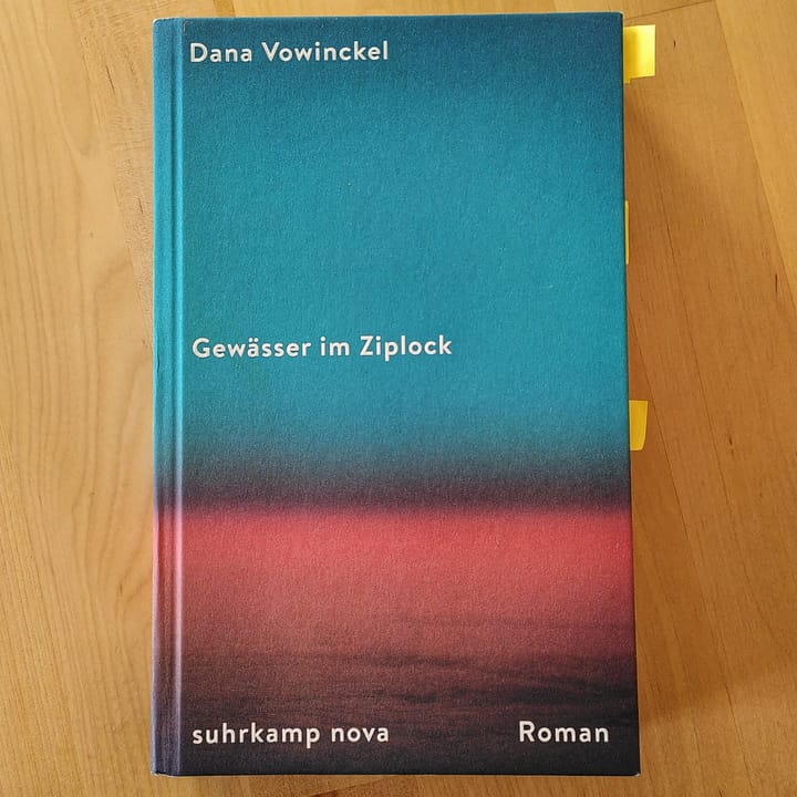 Rezension: Dana Vowinckel, Gewässer im Ziplock